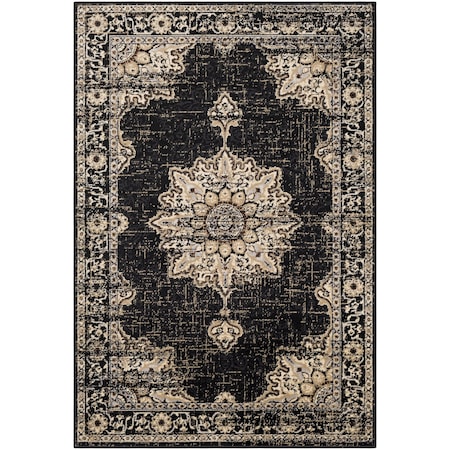 Livabliss Paramount PAR-1089 Machine Crafted Area Rug PAR1089-5376